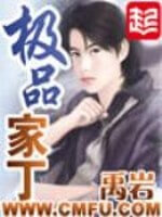 《极品家丁》（校对版全本）作者：禹岩