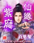 《紫府仙缘(虛境修仙)》（校对版全本）作者：百里玺